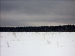 Территория участков