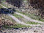 Участки в садоводствах вблизи поселка Моторное
