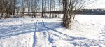 Зимний пейзаж