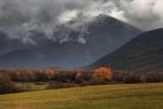 Байдарская долина