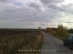 Подъездная асфальтирванная дорога