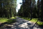 центральная аллея