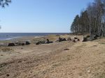 побережье Финского залива в районе расположения участков